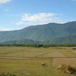 Long mạch của vương triều Tây Sơn